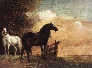 POTTER, Paulus Horses in a Field zg oil